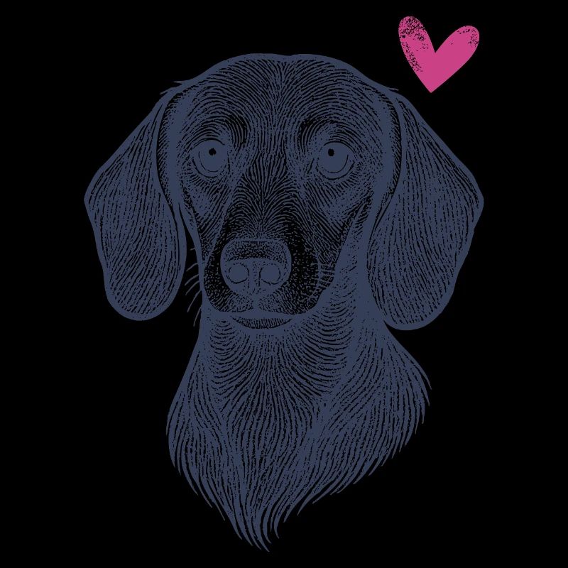 Dachshund – Courageous, Funny & Distinctive