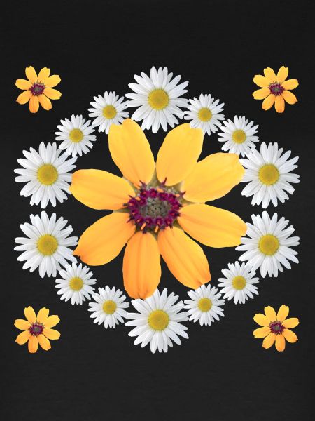 Daisies Orange Blossom Daisies Floral Pattern