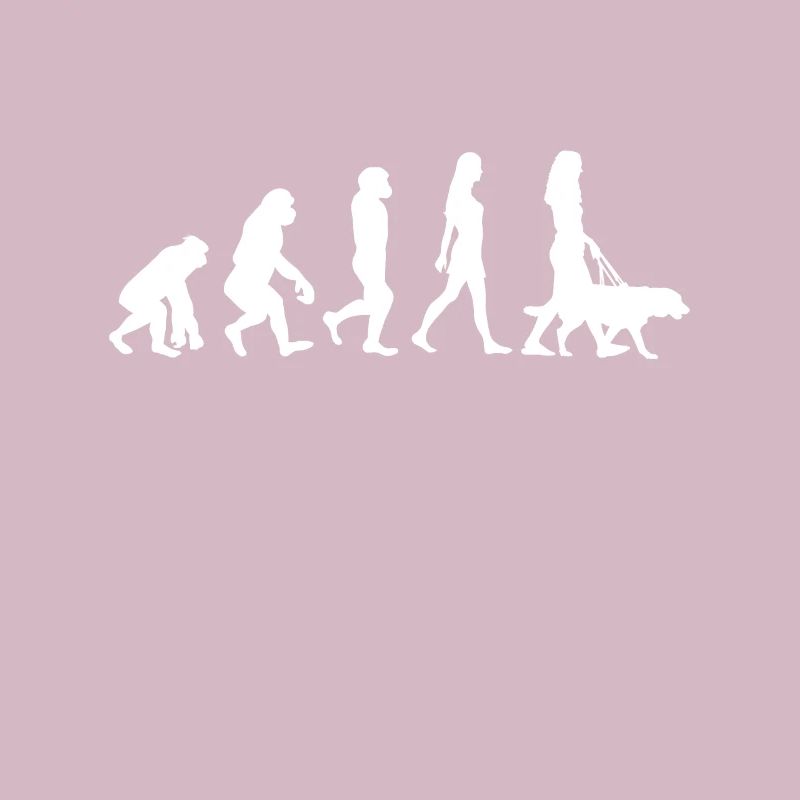 Chien chien evolution