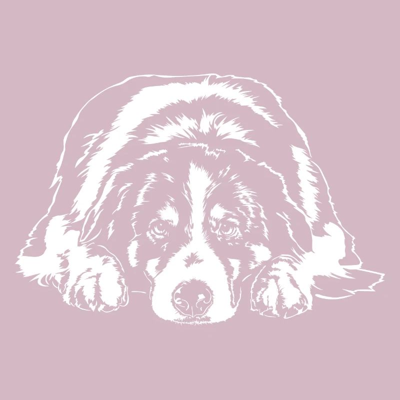 AUSTRALIE SHEPHERD Aussie Chiens Chiens Wilsigns