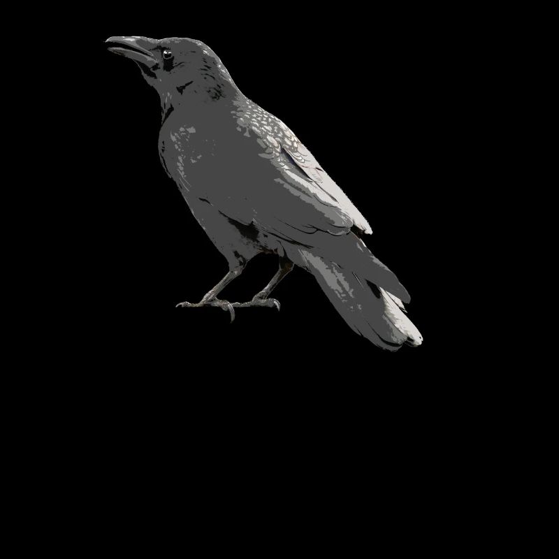corbeau