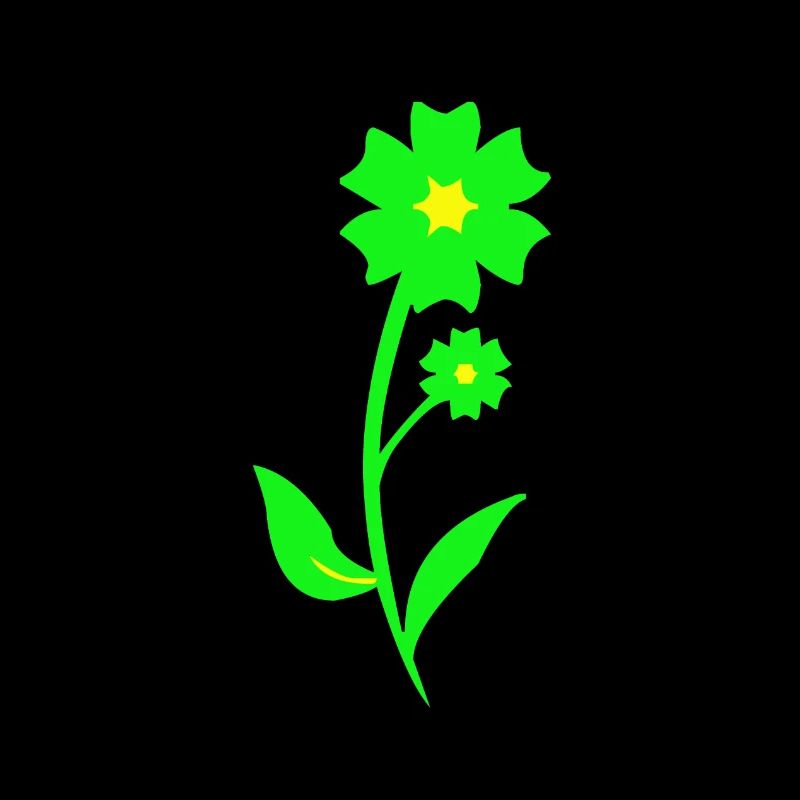 Blume Blüte Garten Pflanze Geschenk