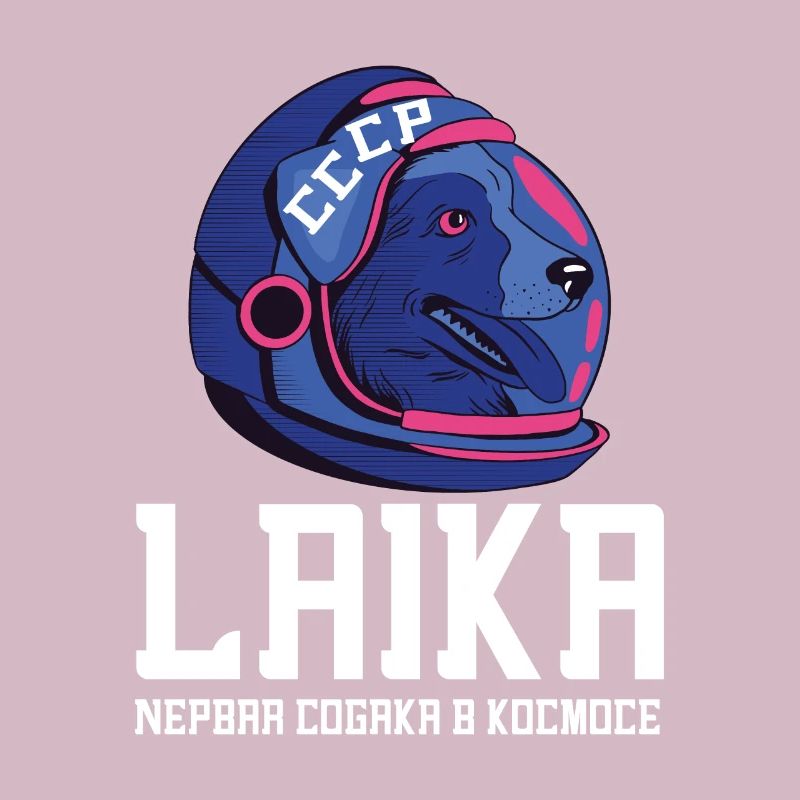 Spoutnik Conception de l’espace