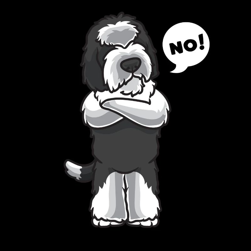 Sturer Sheepadoodle Chien