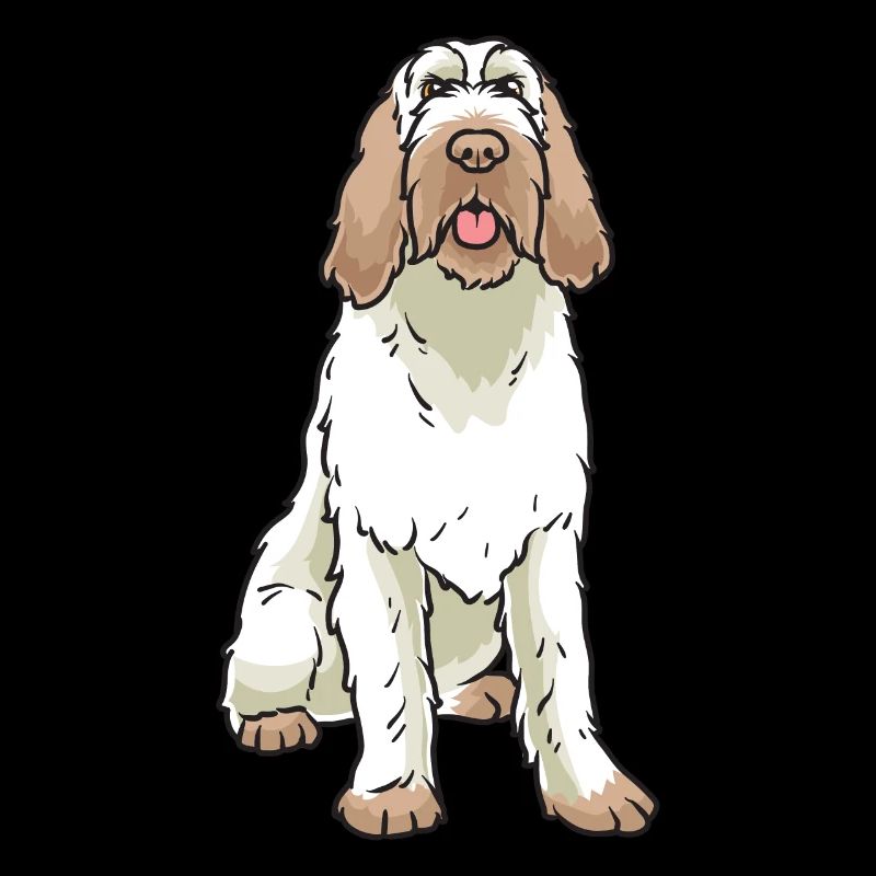 Spinone Italiano Hund