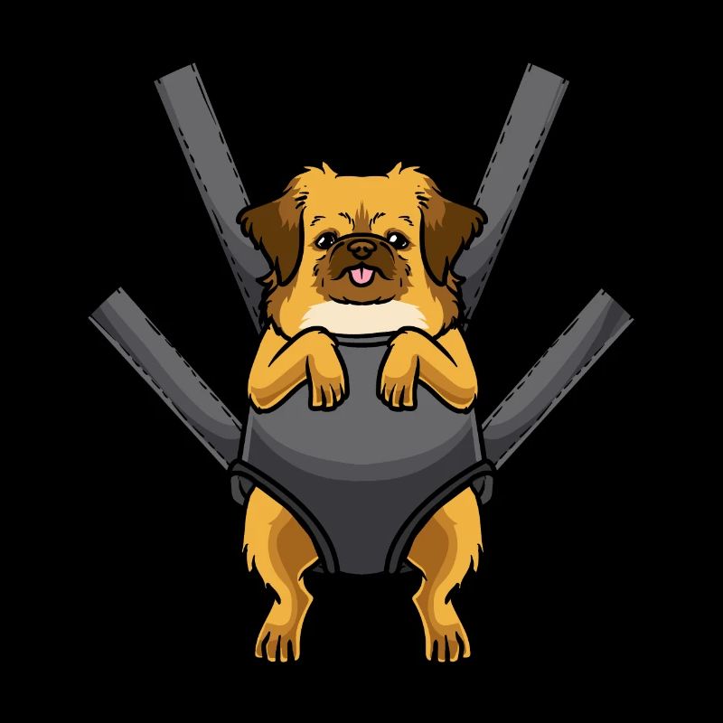 Tibetan Spaniel Dog Tibetan Spaniel