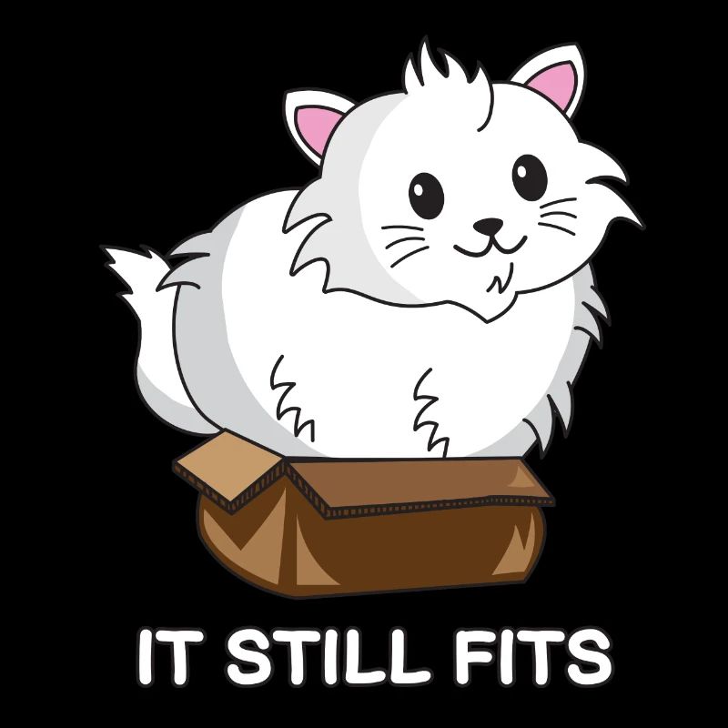 cat box | Katze | Karton | it still fits | funny