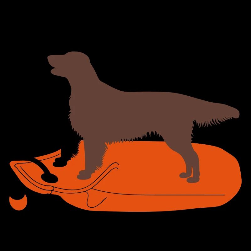 2 Flat Coated Retriever auf Dummy