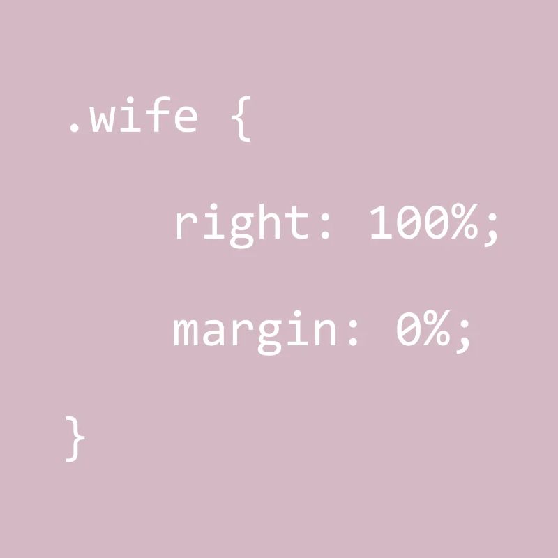 CSS Wife Right Softwareentwickler Developer