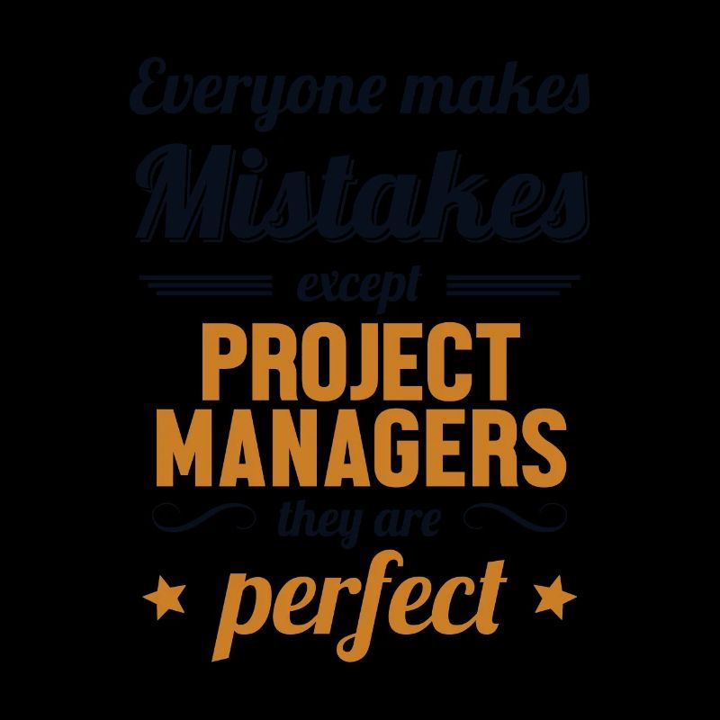 Project Manager are Perfect Project Engineer