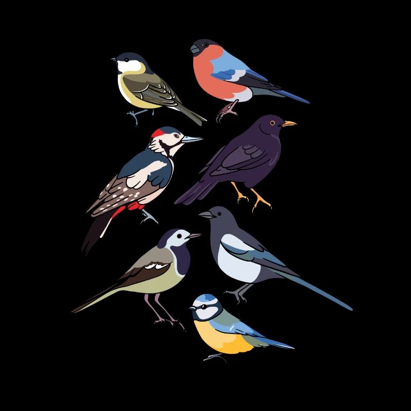 Oiseaux de jardin Oiseaux