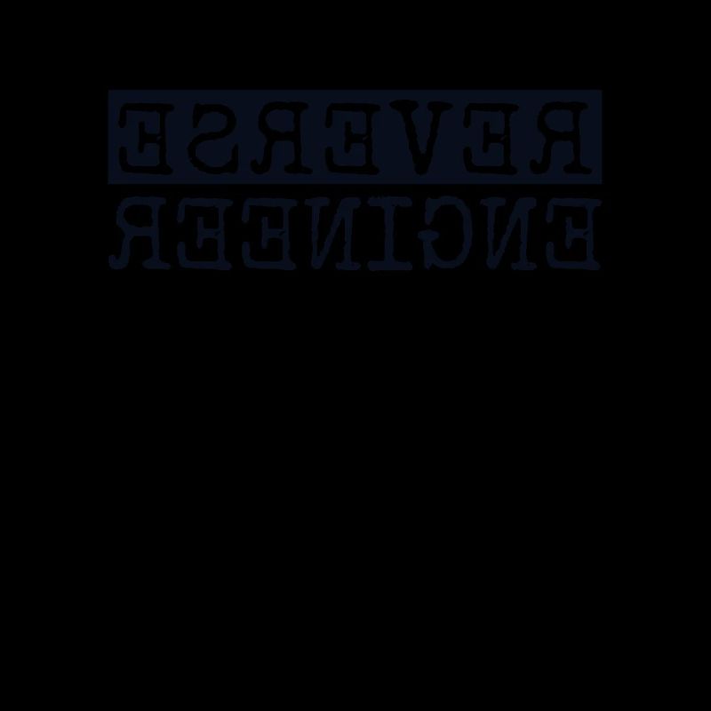 Reverse Engineer Softwareingenieur Developer