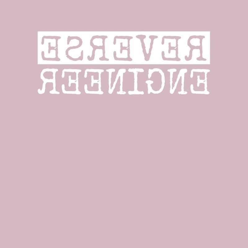 Reverse Engineer Softwareingenieur Developer