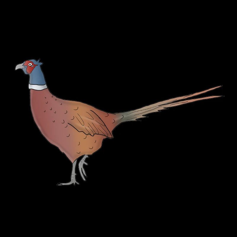 Pheasant drawn animal