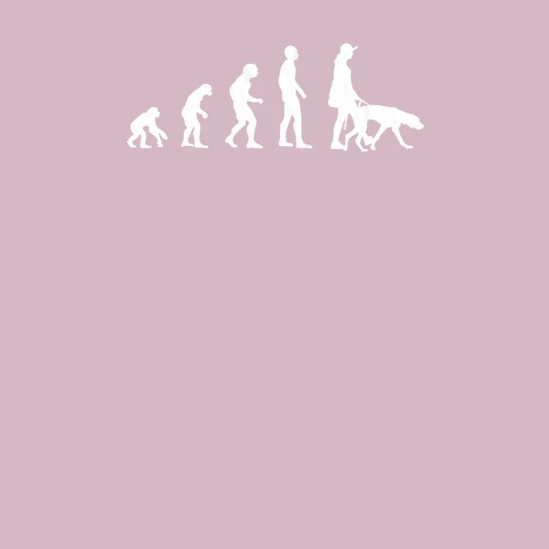 Vizsla Evolution
