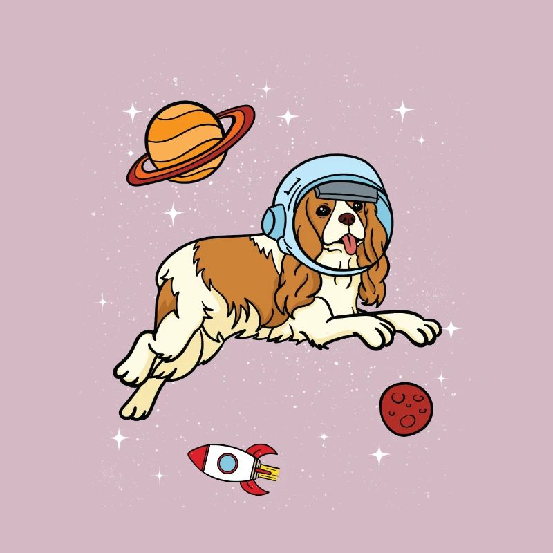 Cavalier King Charles Spaniel Chien Astronaute