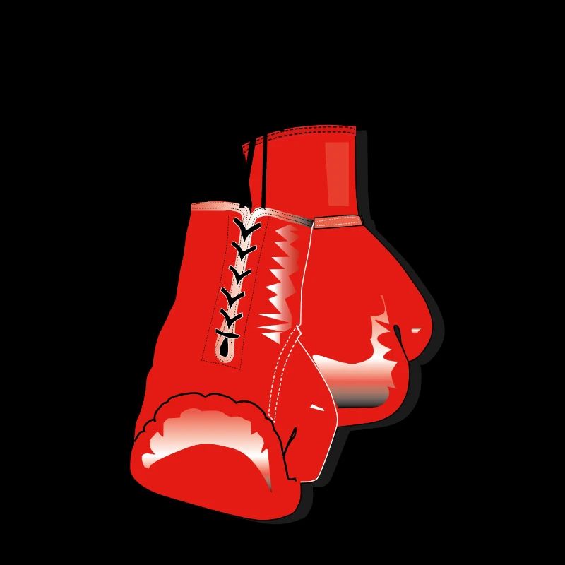 gants de boxe