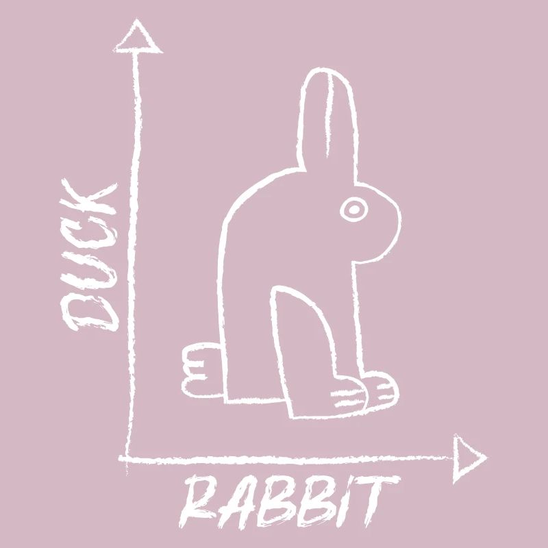 Lapin de l’illusion d’optique
