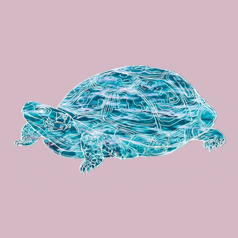 turtle, toad, animals, nature