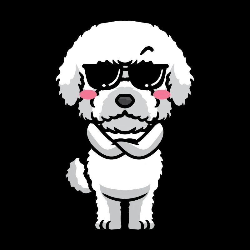 Bichon Frisé Dog Curly Bichon