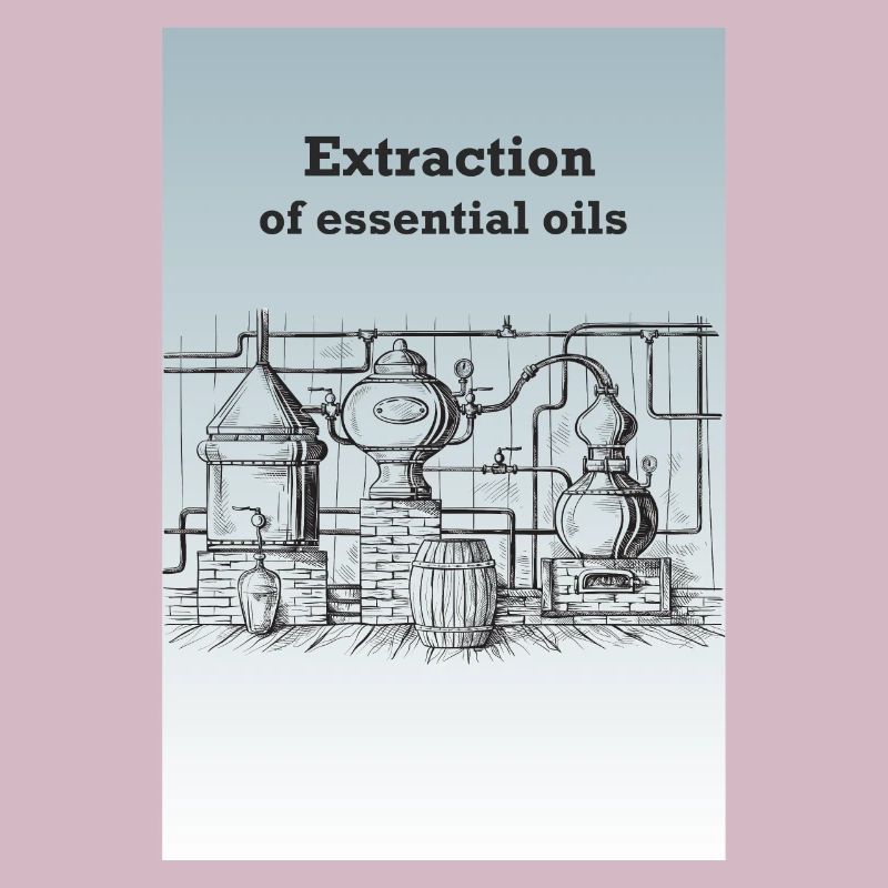 Extraktion von ätherischen Ölen