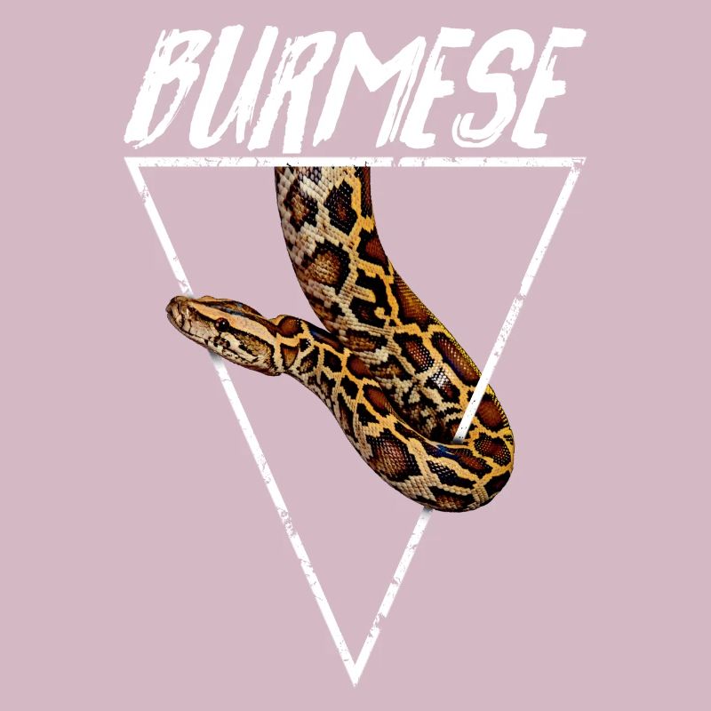 Propriétaire Python Birman Géométrique