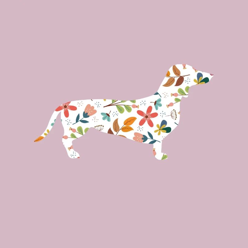 dachshund