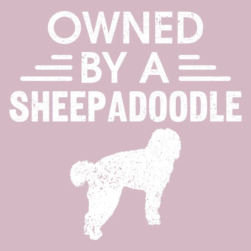 Sheepadoodle Doodle Dog