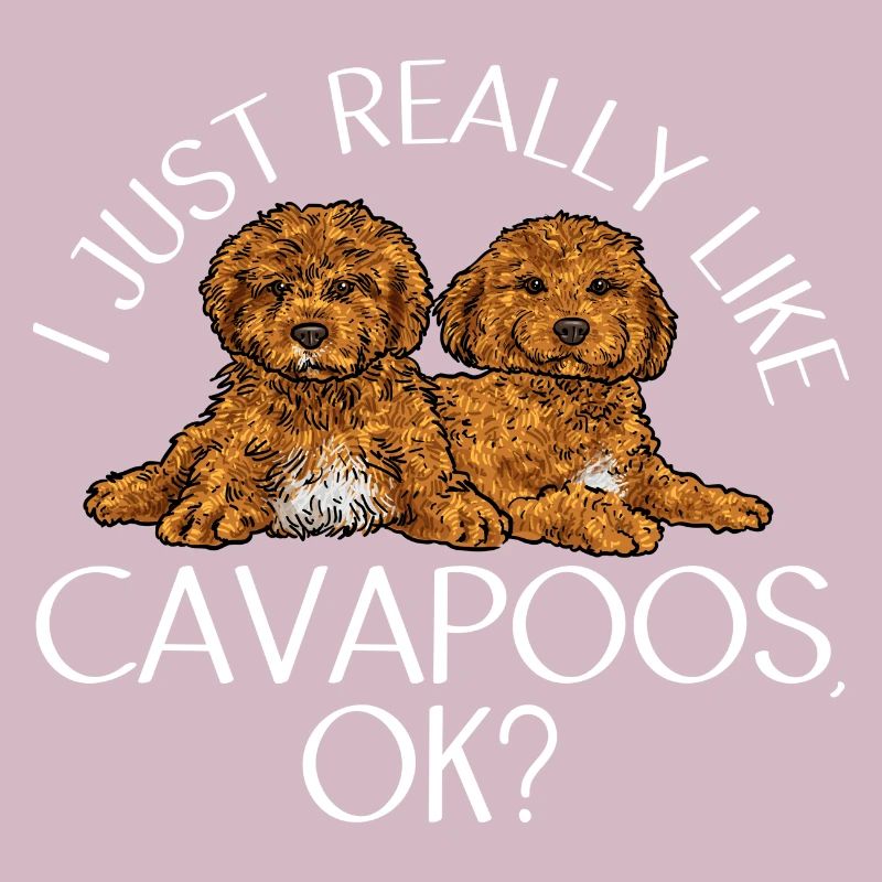 Cavapoo Cavoodle Capoodle Hund