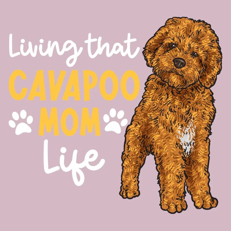 Cavapoo Cavoodle Capoodle Chien