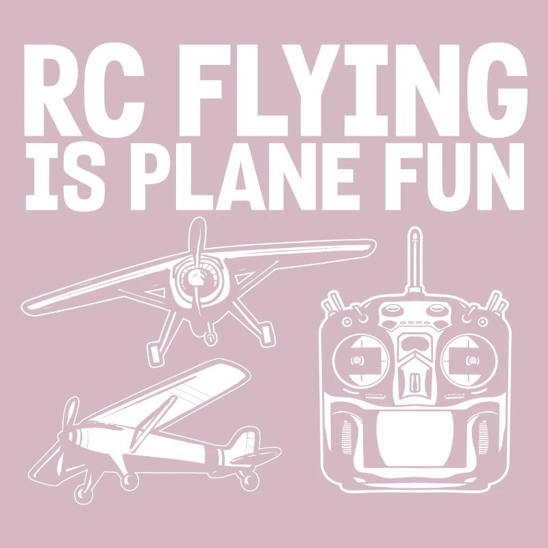Remote Controlled Airplane Model Airplane