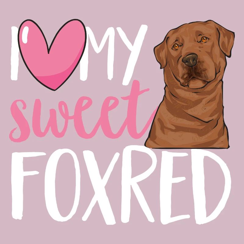Foxred Labrador Fuchsroter Labrador Retriever