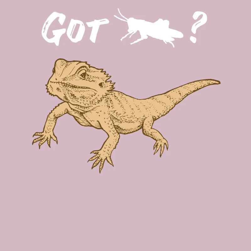 Bearded dragon asks for Locust Reptile Lizard