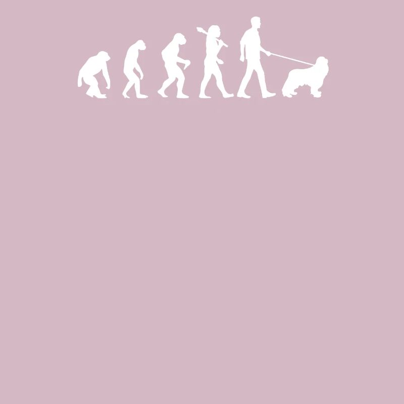 Evolution des cockers