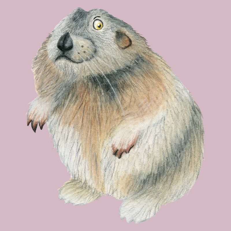 lemming