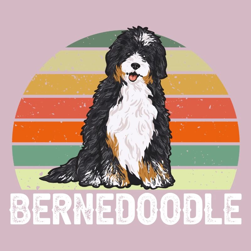 Bernedoodle Hund