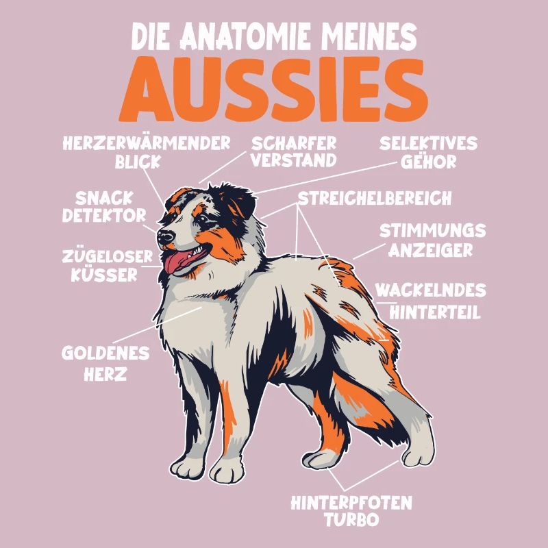 Australian Shepherd Aussie Anatomie Aussie