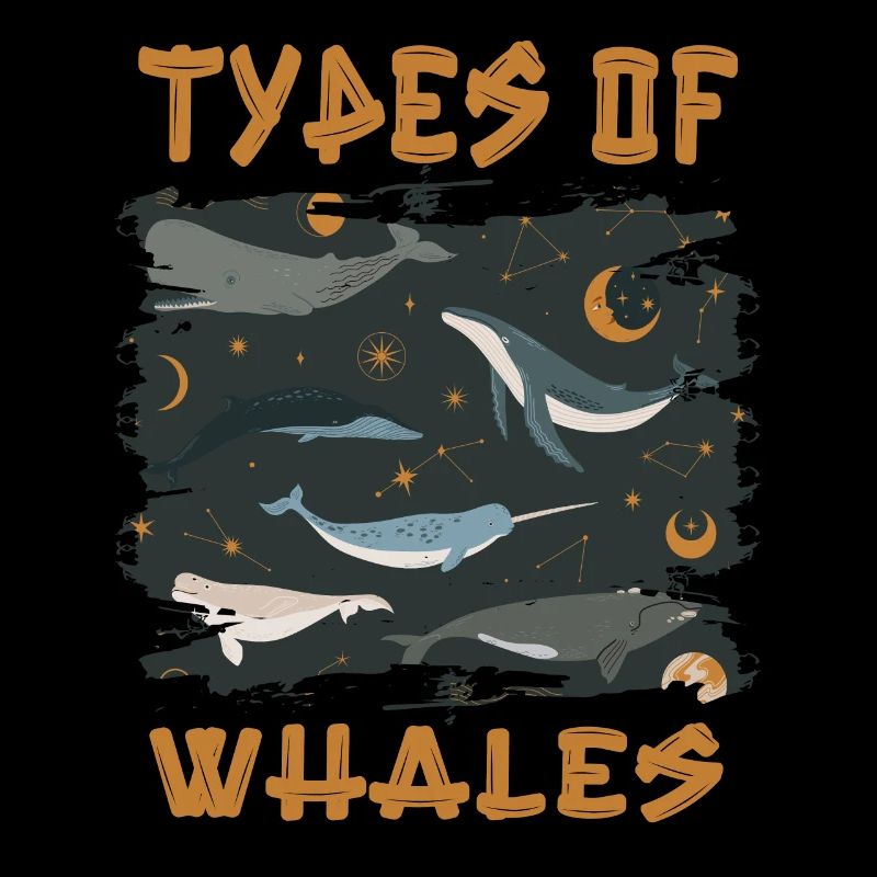 Types de baleines Whale Lovers Whales Espèces de baleines
