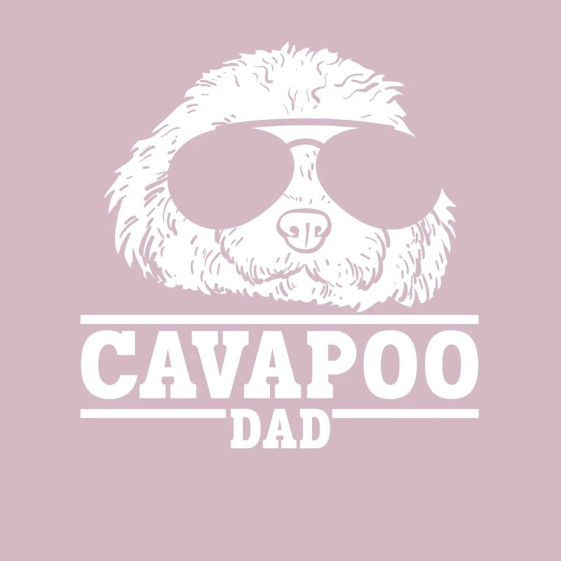 Cavapoo Cavoodle Capoodle Chien