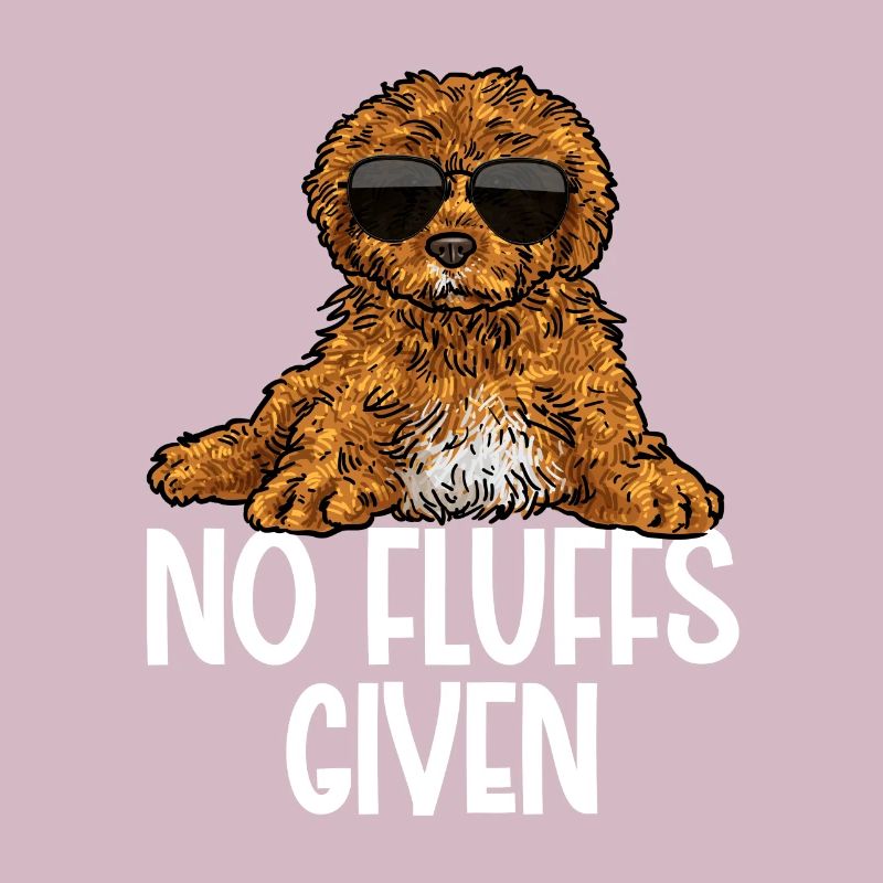 Cavapoo Cavoodle Capoodle Chien