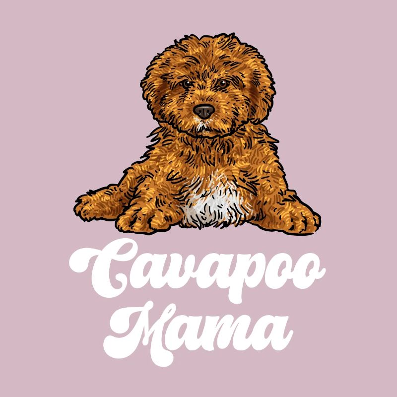 Cavapoo Cavoodle Capoodle Chien