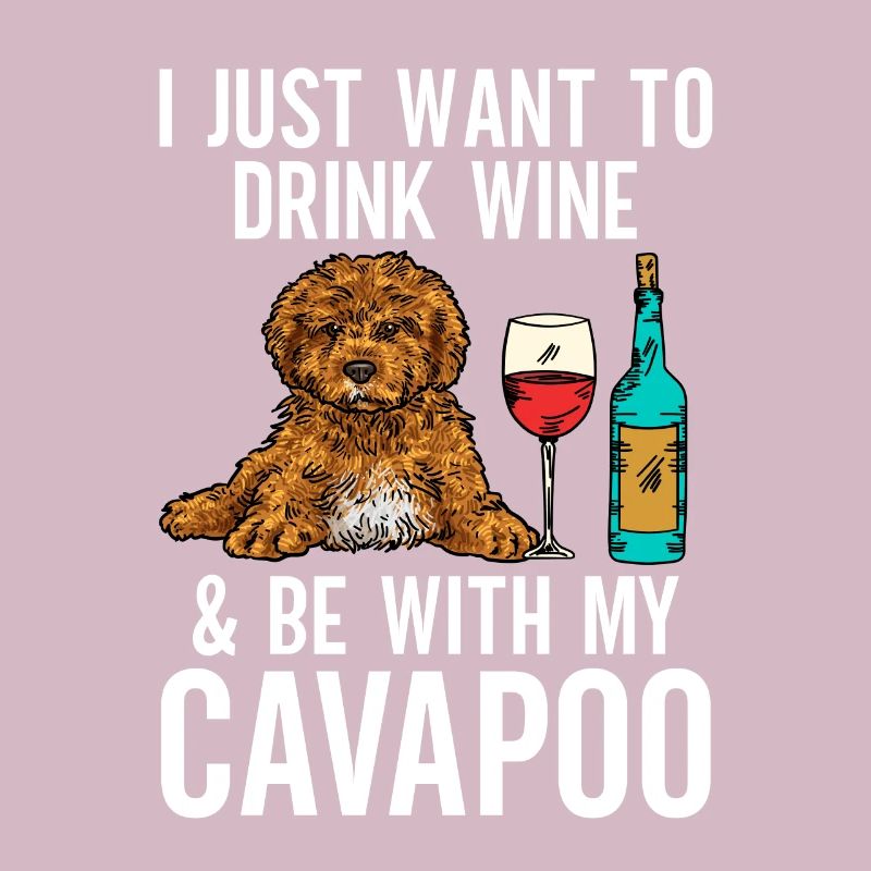Cavapoo Cavoodle Capoodle Hund