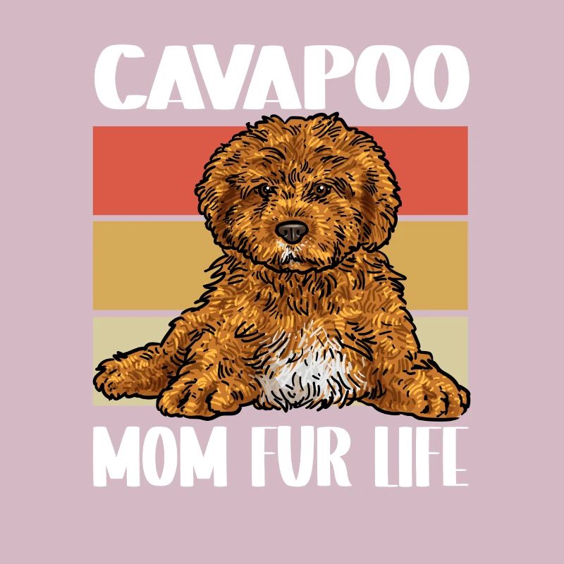 Cavapoo Cavoodle Capoodle Chien