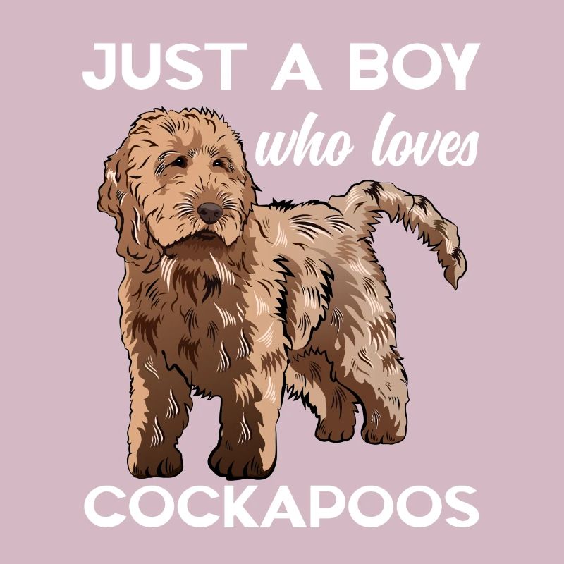 Cockapoo Chien