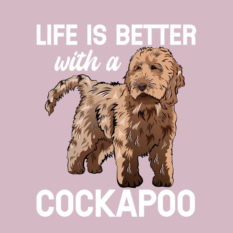Cockapoo Chien