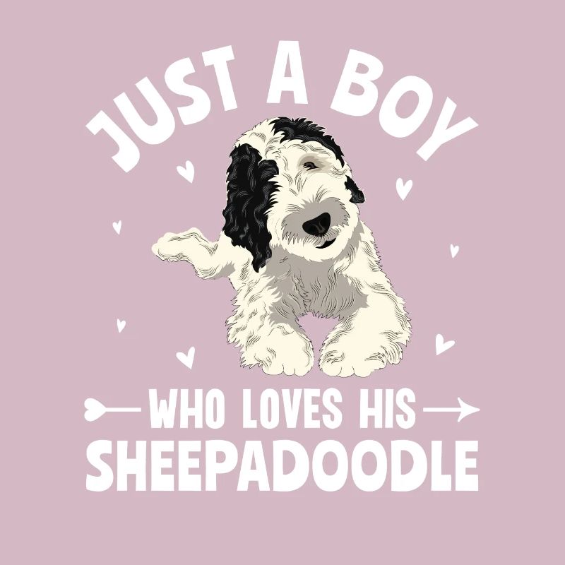 Sheepadoodle Doodle Hund