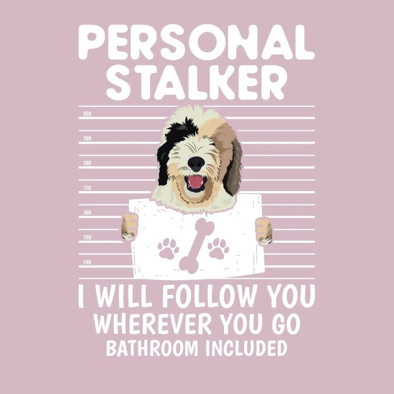Sheepadoodle Doodle Dog