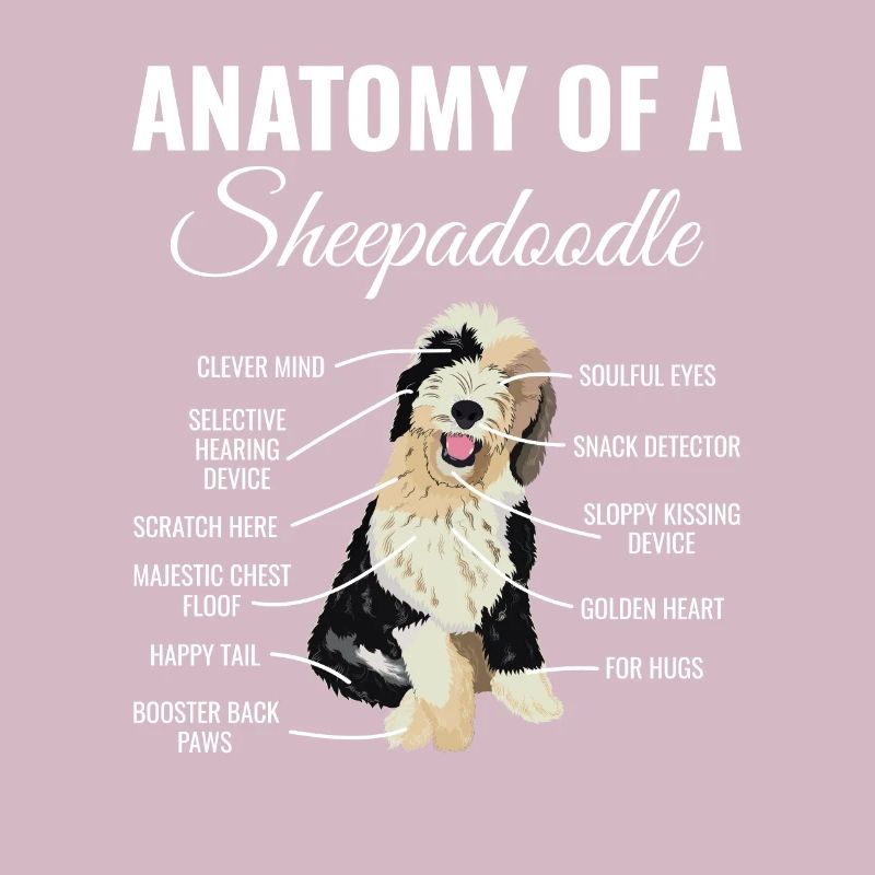 Sheepadoodle Doodle Dog