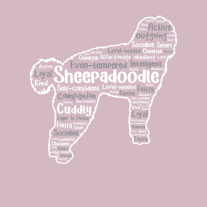 Sheepadoodle Doodle Dog