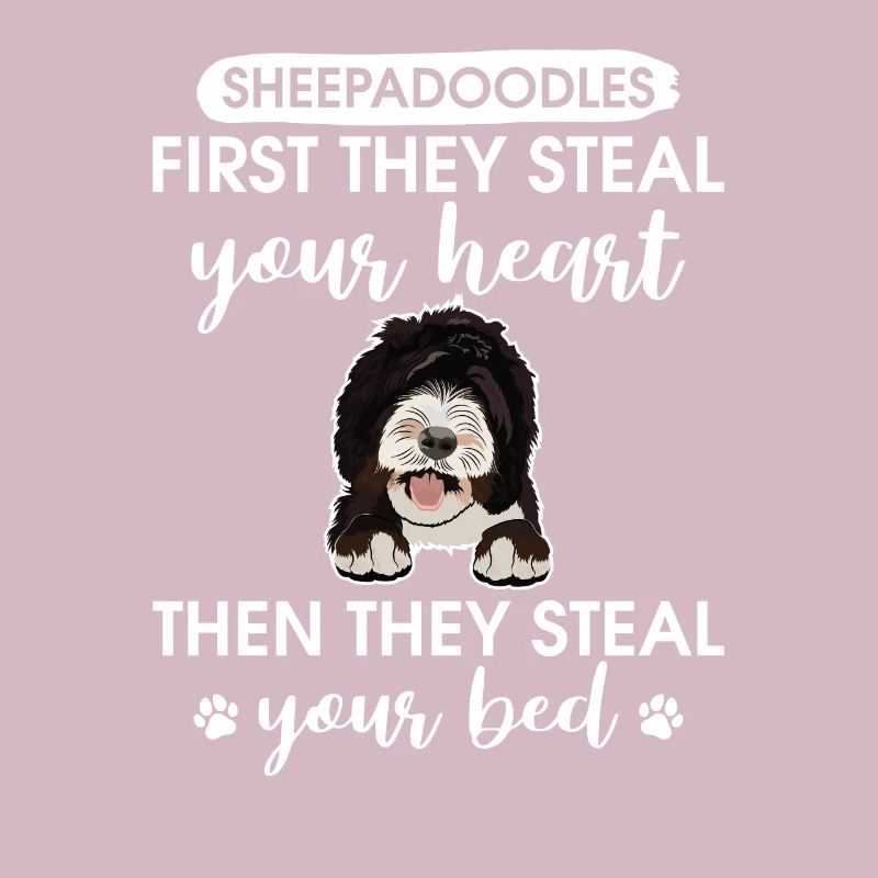 Sheepadoodle Doodle Hund